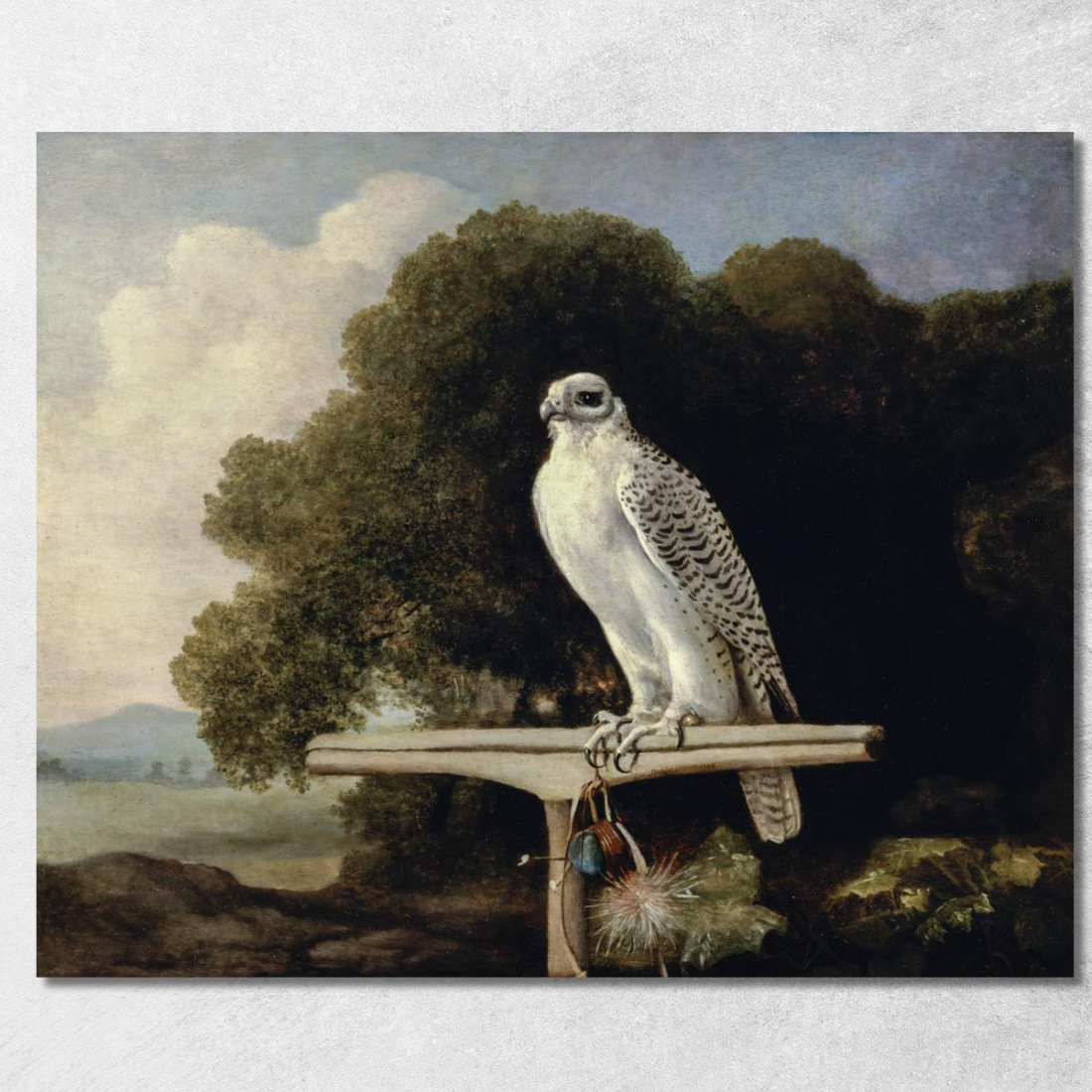 Falco Della Groenlandia 1780 George Stubbs gst18 quadro stampato su tela Falco Della Groenlandia 1780 George Stubbs gst18 quadro stampato su tela