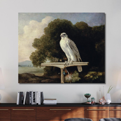 Falco Della Groenlandia 1780 George Stubbs gst18 quadro stampato su tela