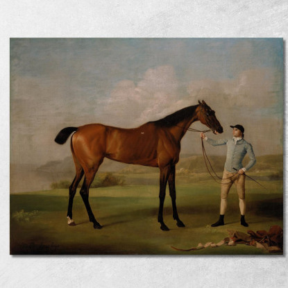 Molly Gambelunghe Con Il Suo Fantino George Stubbs gst29 quadro stampato su tela