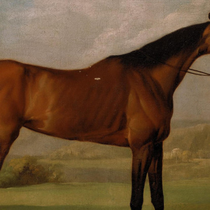 Molly Gambelunghe Con Il Suo Fantino George Stubbs gst29 quadro stampato su tela