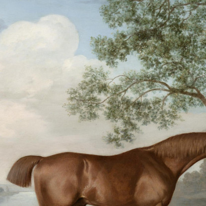 Zucca Con Stalliere 1774 George Stubbs gst34 quadro stampato su tela