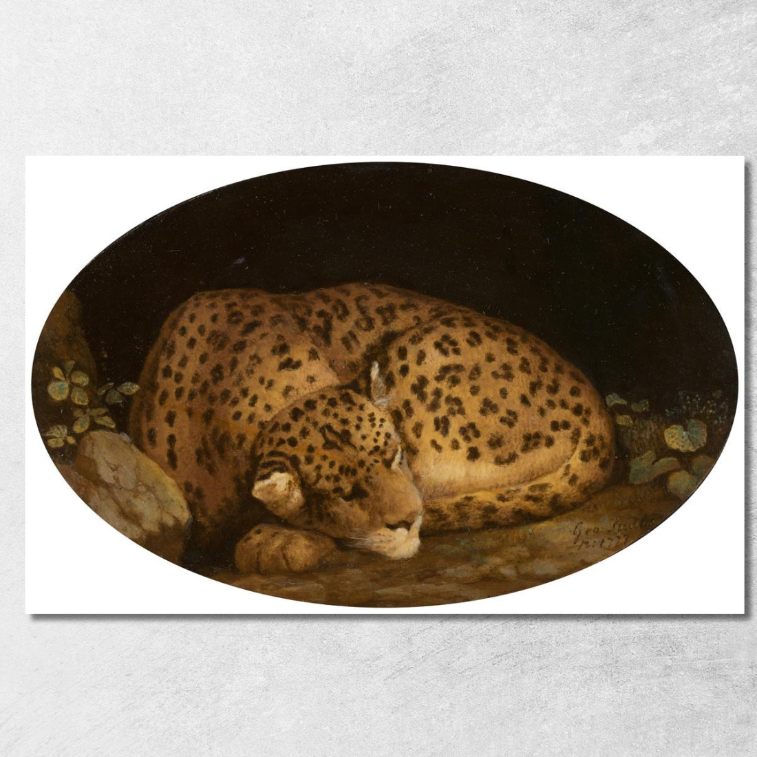 Leopardo Addormentato George Stubbs gst37 quadro stampato su tela