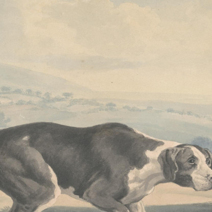 Il Puntatore Spagnolo George Stubbs gst43 quadro stampato su tela