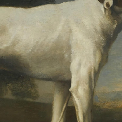 Il Cane Bianco Del Visconte Gormanston George Stubbs gst52 quadro stampato su tela