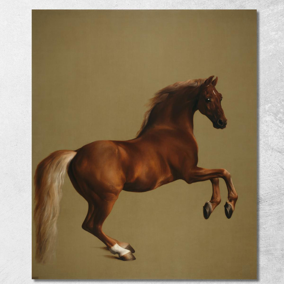 Whistlejacket È Un Dipinto Ad Olio Su Tela Del 1762 Circa George Stubbs gst55 quadro stampato su tela Whistlejacket È Un Dipinto Ad Olio Su Tela Del 1762 Circa George Stubbs gst55 quadro stampato su tela