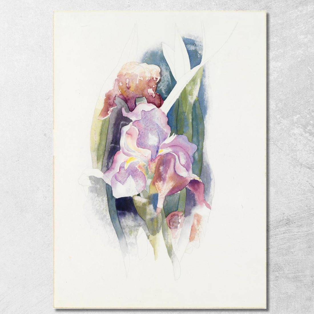 Iride Viola Charles Demuth cdm40 quadro stampato su tela Iride Viola Charles Demuth cdm40 quadro stampato su tela