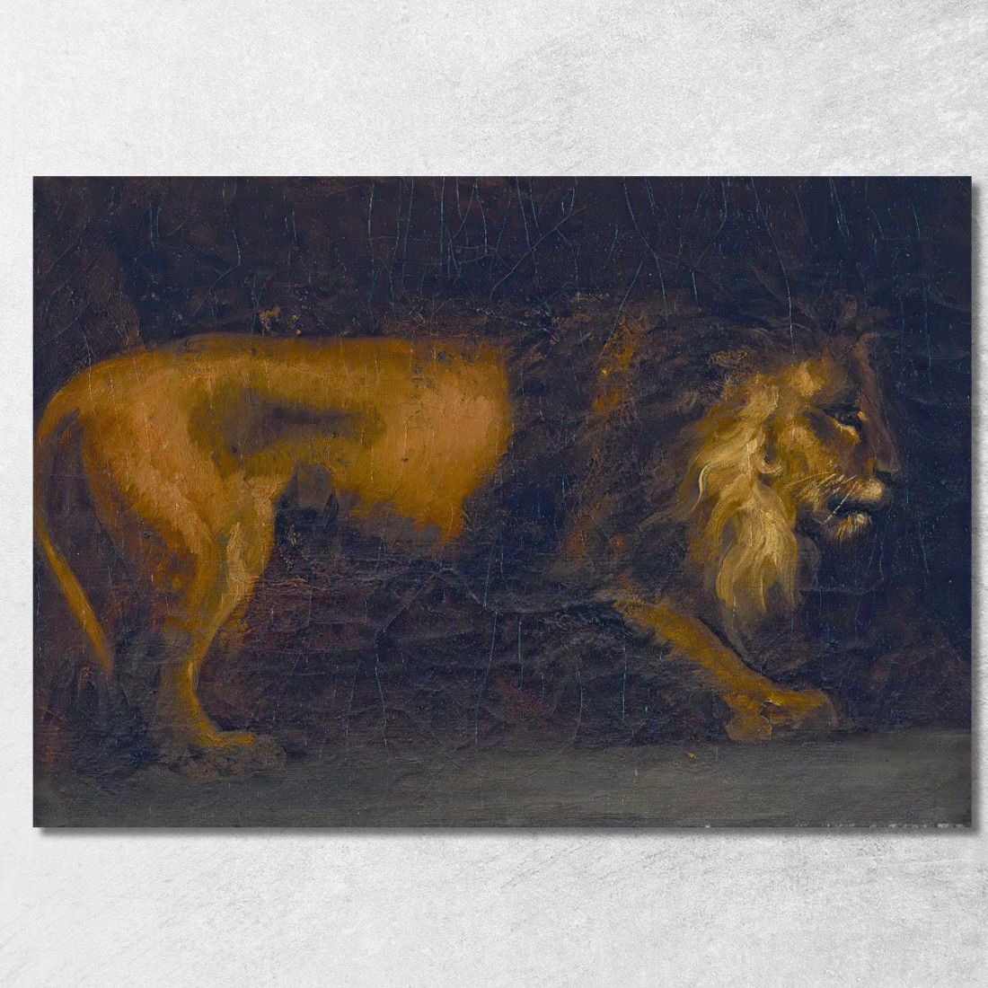 Studio Di Un Leone Théodore Géricault tgr44 quadro stampato su tela Studio Di Un Leone Théodore Géricault tgr44 quadro stampato su tela