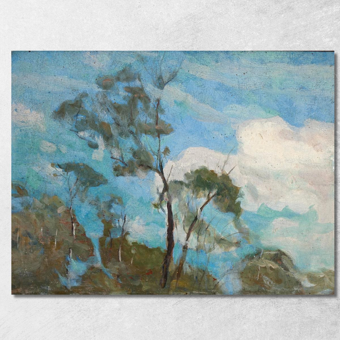 Cielo Di Teresópolis Eliseu Visconti evs18 quadro stampato su tela Cielo Di Teresópolis Eliseu Visconti evs18 quadro stampato su tela