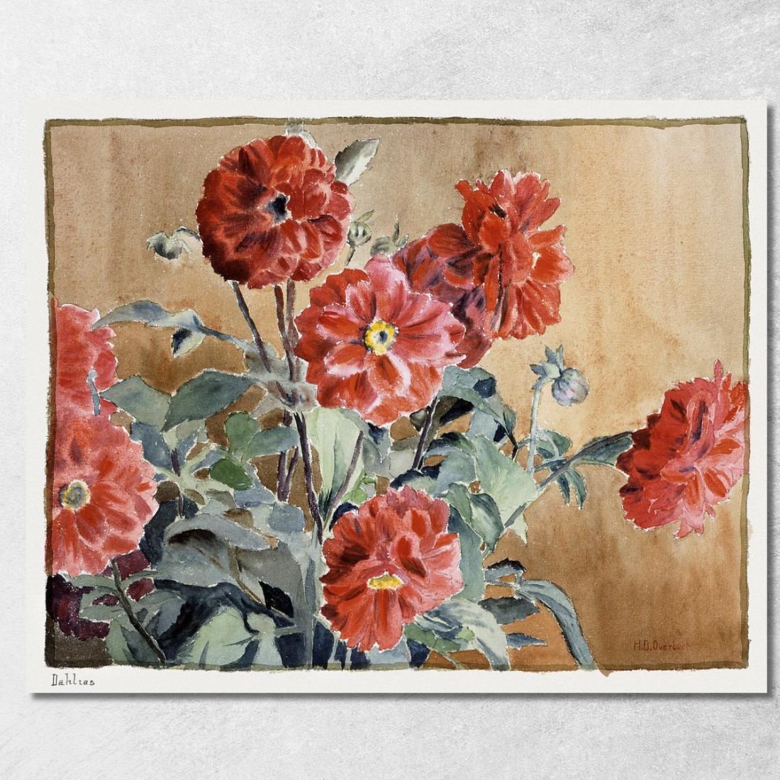 Dalie 1915 Hannah Borger Overbeck hbo6 quadro stampato su tela Dalie 1915 Hannah Borger Overbeck hbo6 quadro stampato su tela