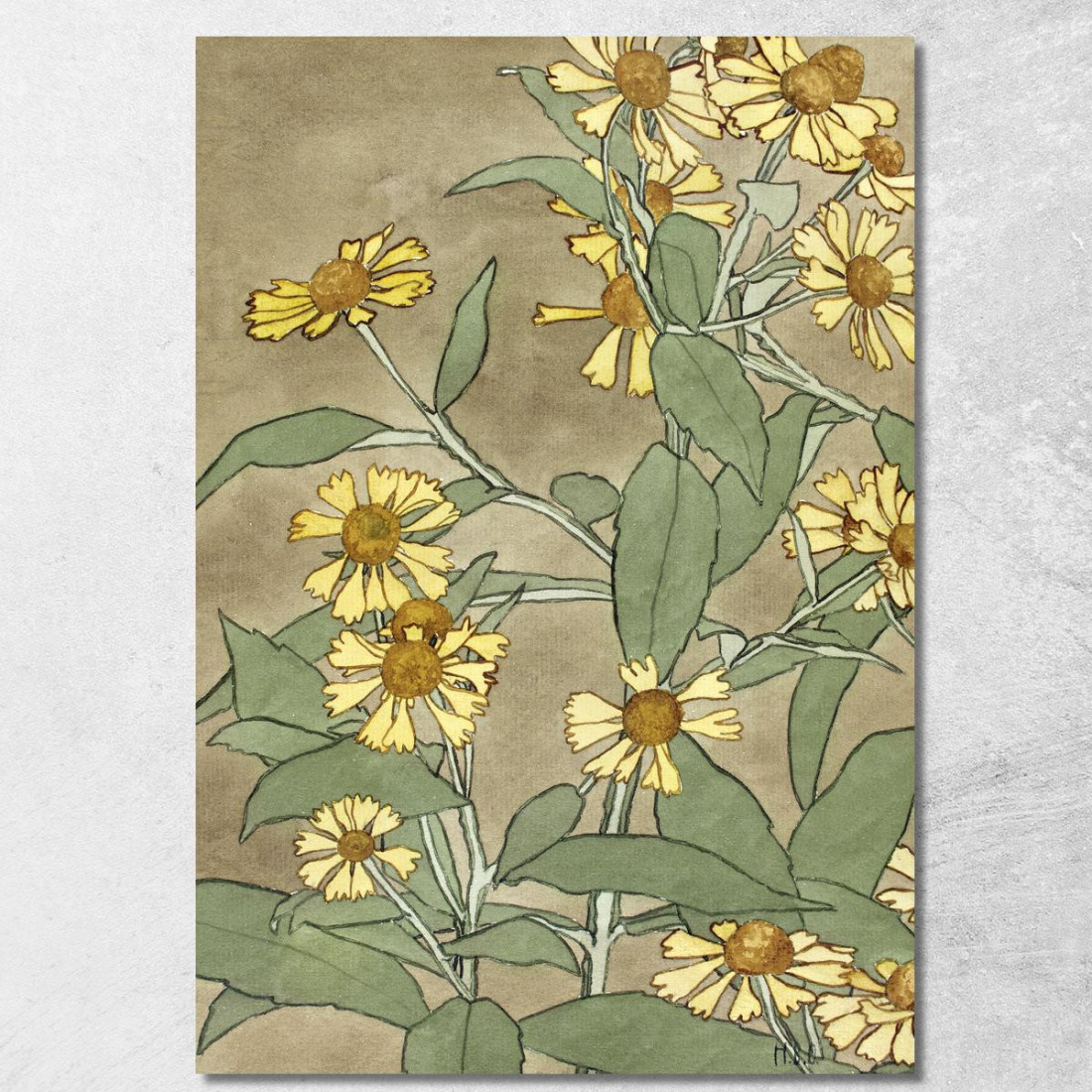 Margherite Con Centro Arancione E Petali Gialli Hannah Borger Overbeck hbo7 quadro stampato su tela Margherite Con Centro Arancione E Petali Gialli Hannah Borger Overbeck hbo7 quadro stampato su tela