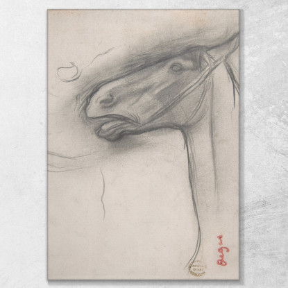 Testa Di Cavallo Edgar Degas edg178 quadro stampato su tela