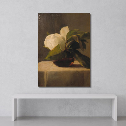 Magnolia John La Farge jlf16 quadro stampato su tela