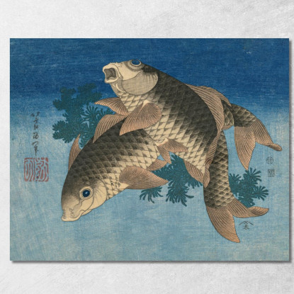 Nuoto Della Carpa Dalle Erbacce Dell'Acqua katsushika hokusai khk8 quadro stampato su tela