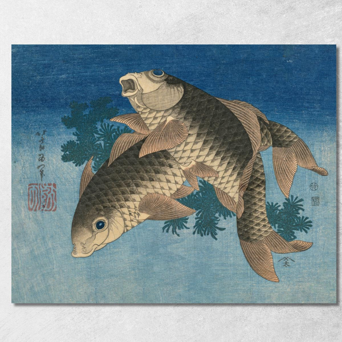 Nuoto Della Carpa Dalle Erbacce Dell'Acqua katsushika hokusai khk8 quadro stampato su tela