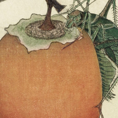 Frutta Del Cachi Con La Cavalletta katsushika hokusai khk28 quadro stampato su tela