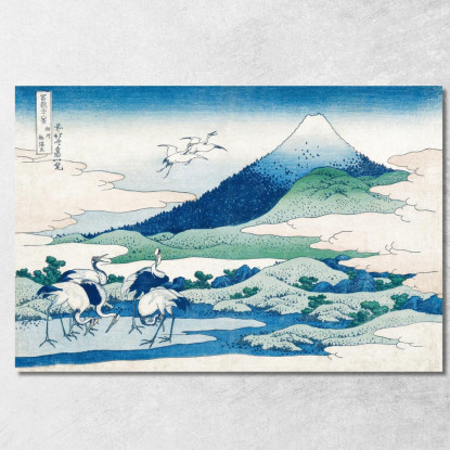 Tenuta Umezawa Nella Provincia Di Sagami katsushika hokusai khk34 quadro stampato su tela