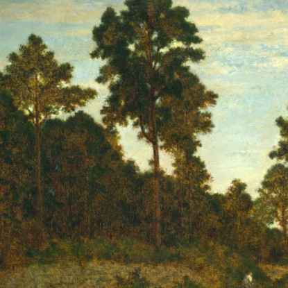 Cavaliere Ai Margini Di Un Bosco Théodore Rousseau trs9 quadro stampato su tela