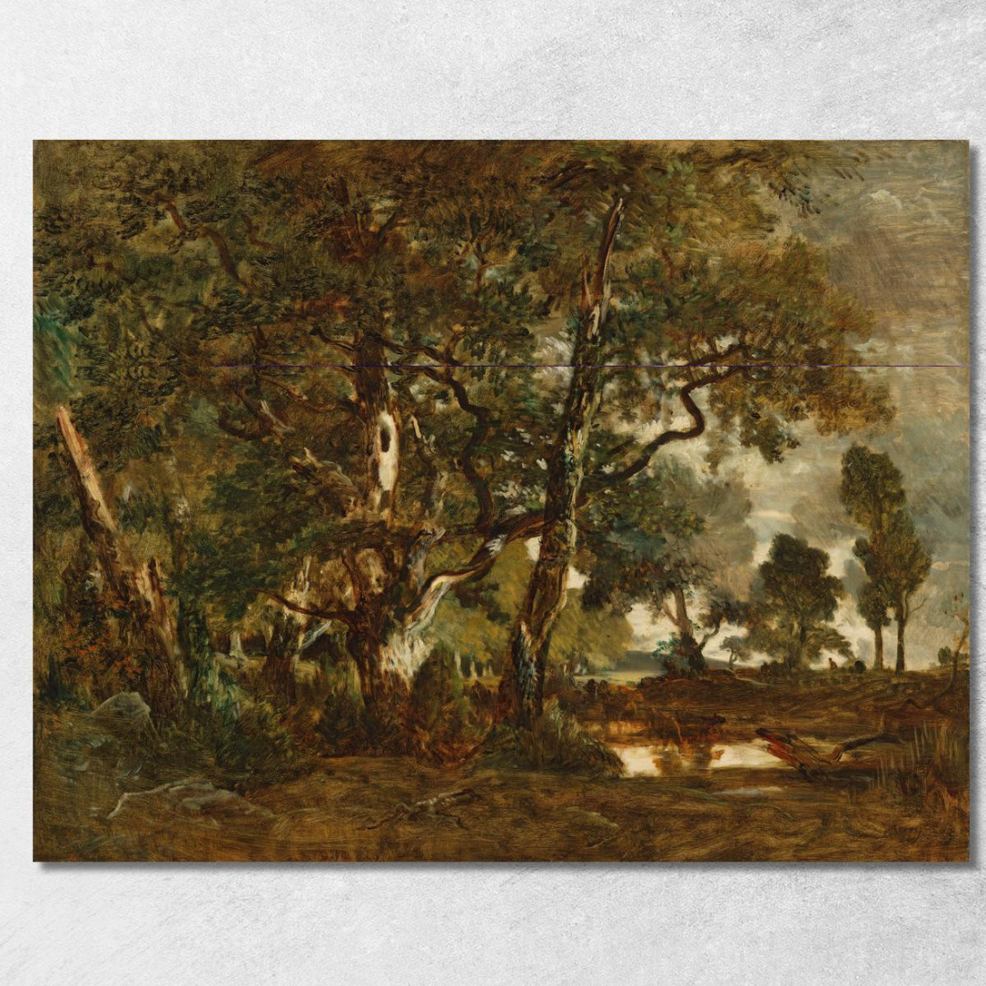 Foresta Di Fontainebleau Gruppo Di Alberi Ad Alto Fusto Che Domina La Pianura Di Clair-Bois Ai Margini Di Ba Théodore Rousseau