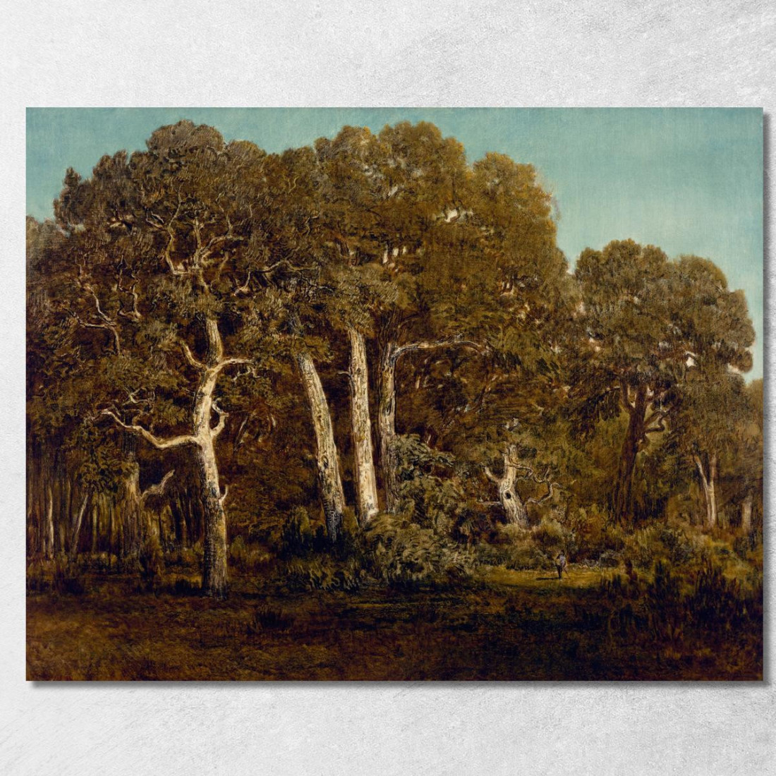 Le Grandi Querce Del Vecchio Bas-Bréau Théodore Rousseau trs38 quadro stampato su tela