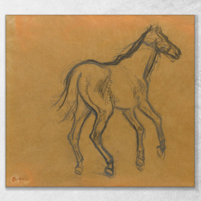 Studio Del Cavallo Edgar Degas edg299 quadro stampato su tela
