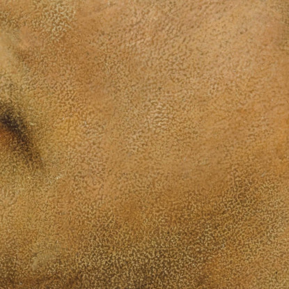 Ritratto Del Professor Fritz Burckhardt-Brenner Arnold Böcklin abk49 quadro stampato su tela