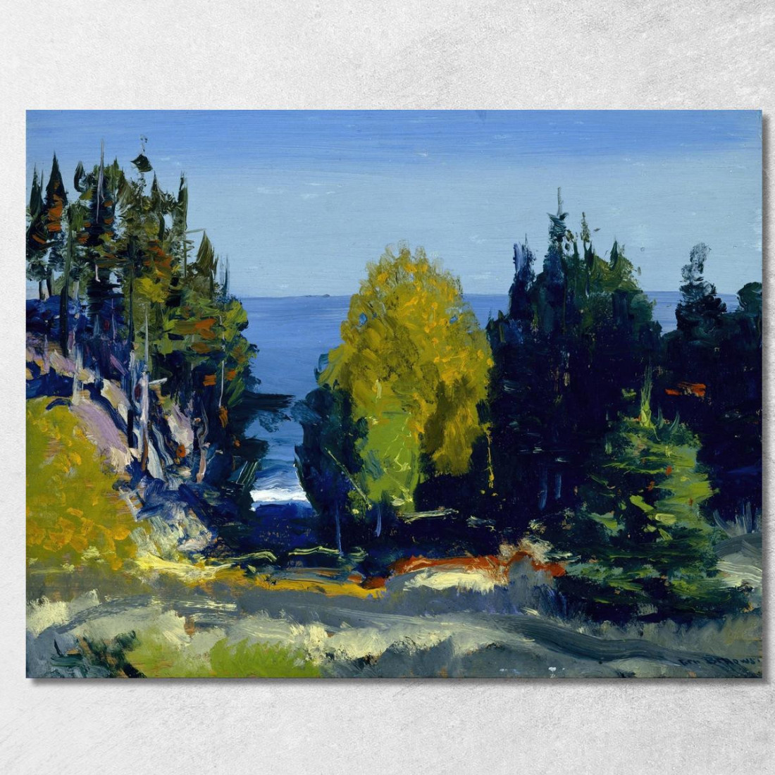 Il Boschetto Di Monhegan George Wesley Bellows gwb63 quadro stampato su tela Il Boschetto Di Monhegan George Wesley Bellows gwb63 quadro stampato su tela