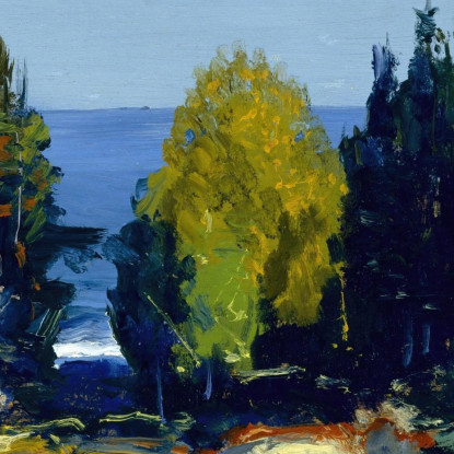 Il Boschetto Di Monhegan George Wesley Bellows gwb63 quadro stampato su tela