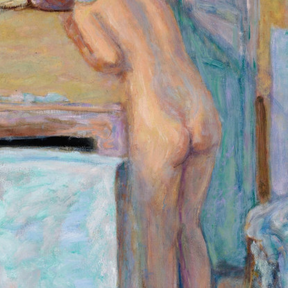 Nudo Davanti Allo Specchio Pierre Bonnard pbn50 quadro stampato su tela