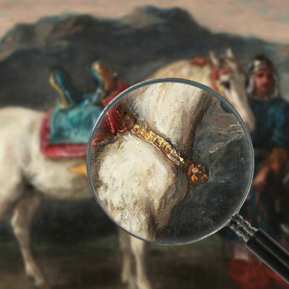 Circasso Che Tiene Un Cavallo Per La Briglia Eugène Delacroix edx23 quadro stampato su tela