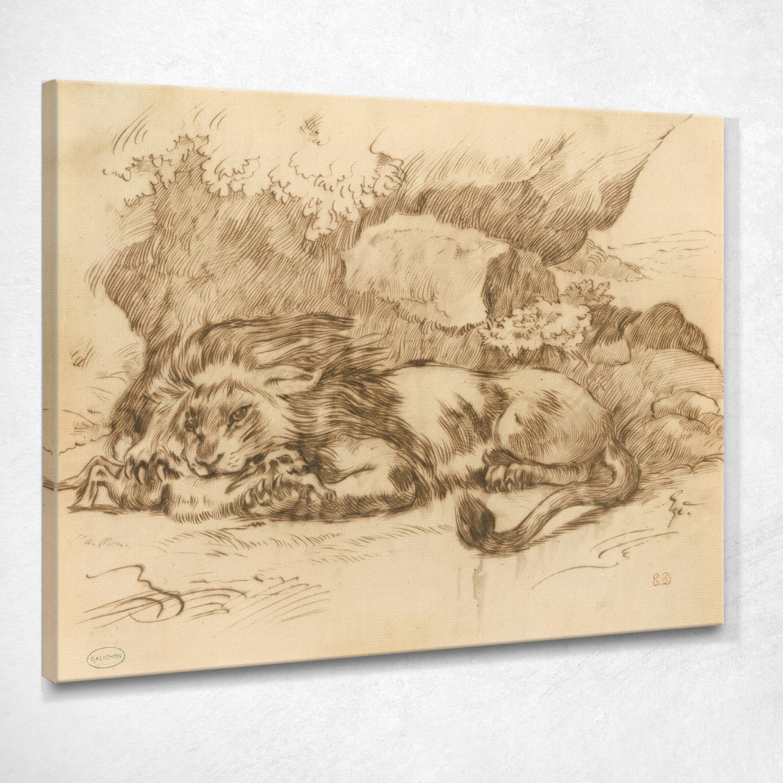 Leone Che Divora Un Coniglio Eugène Delacroix edx71 quadro stampato su tela Leone Che Divora Un Coniglio Eugène Delacroix edx71 quadro stampato su tela