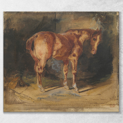 Studio Di Un Cavallo 2 Eugène Delacroix edx119 quadro stampato su tela