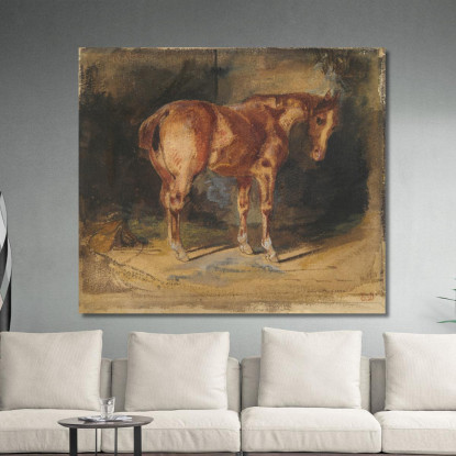 Studio Di Un Cavallo 2 Eugène Delacroix edx119 quadro stampato su tela