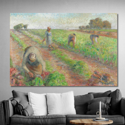 La Raccolta Delle Barbabietole 1881 Camille Pissarro cps70 quadro stampato su tela